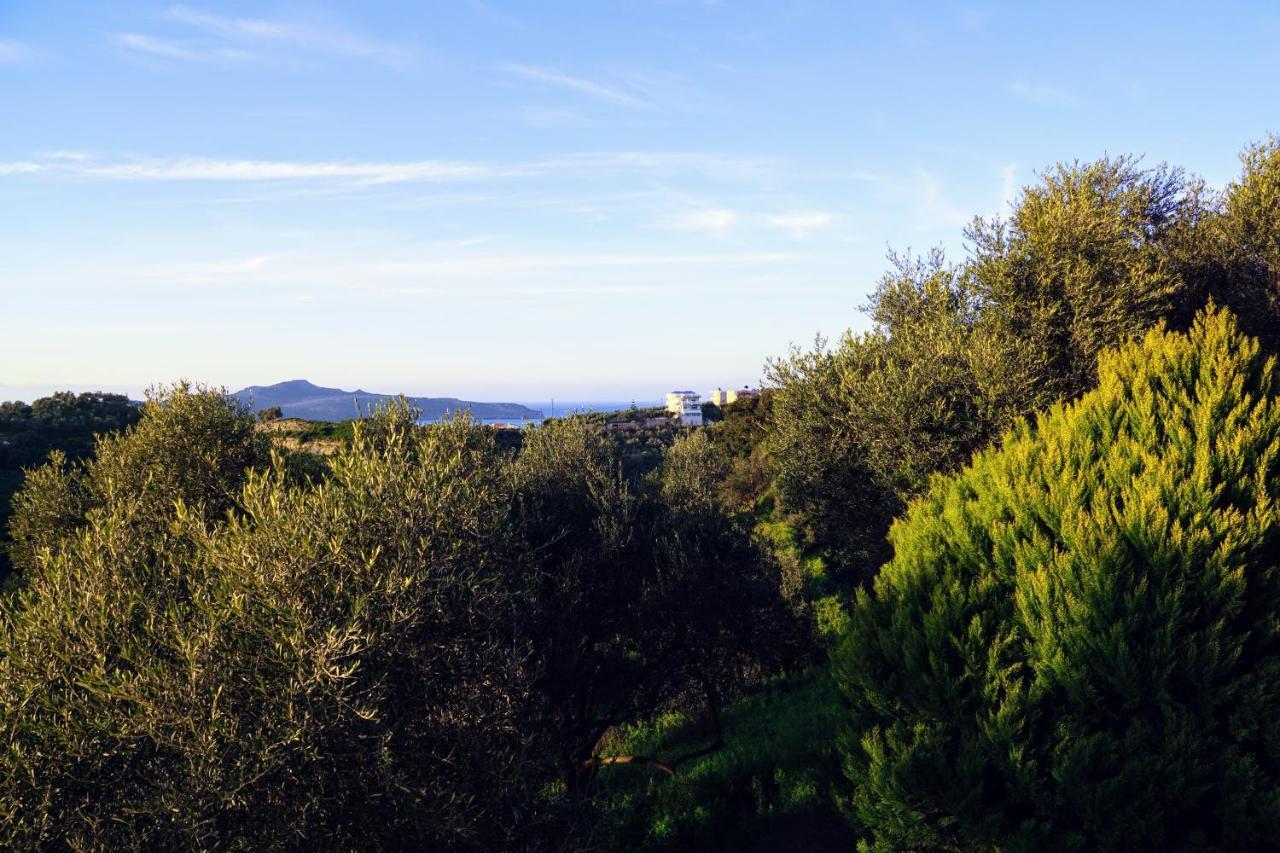 Olive Tree Hillside Apartment Сталос Екстер'єр фото